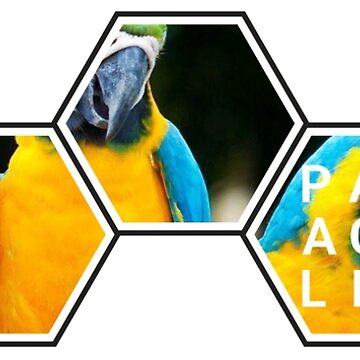 Artwork thumbnail, Papagallo Parrots by RicardoPeragua