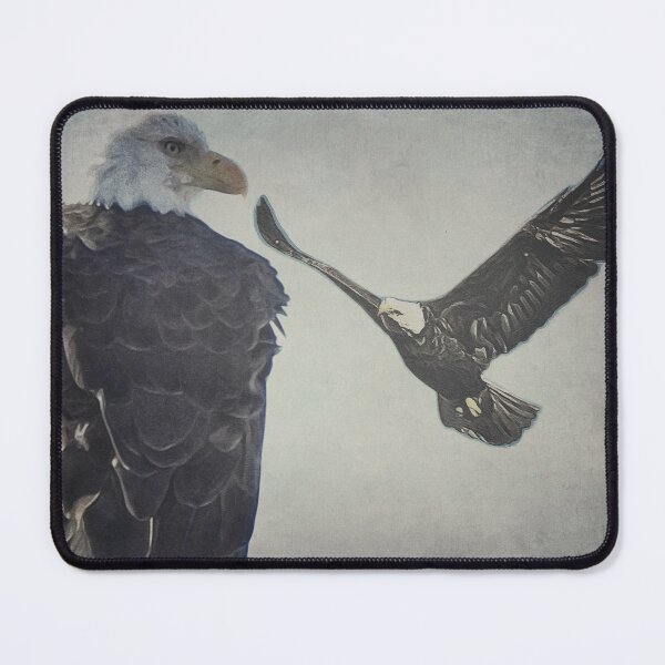 Item preview, Bald Eagle Sitting And Soaring designed and sold by KathyGail.