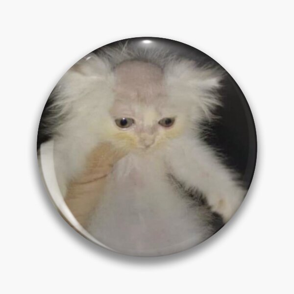 Item preview, bald cat meme designed and sold by CoorsQueen.