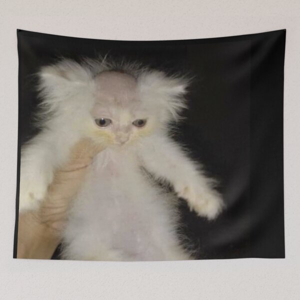 Item preview, bald cat meme designed and sold by CoorsQueen.