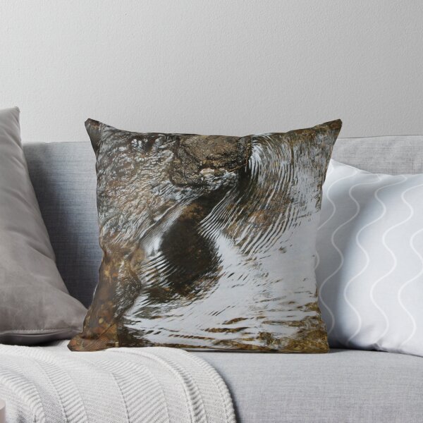 Look Closely Throw Pillow