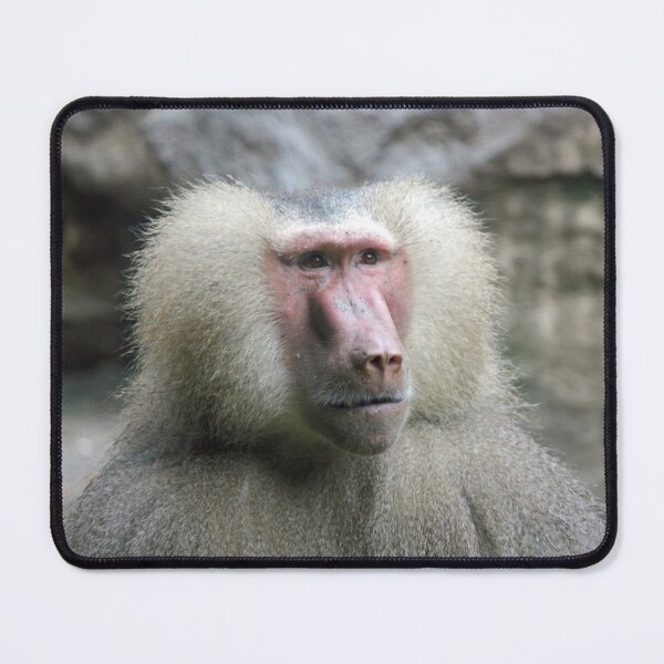 Item preview, Hamadryas Baboon designed and sold by LeanneAllen.