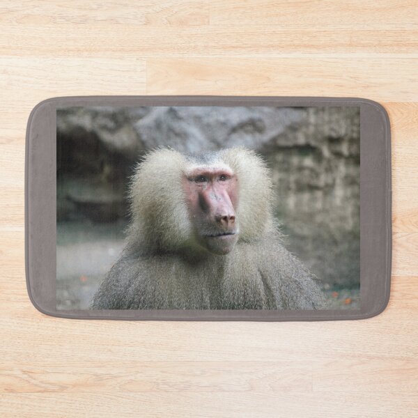 Item preview, Hamadryas Baboon designed and sold by LeanneAllen.