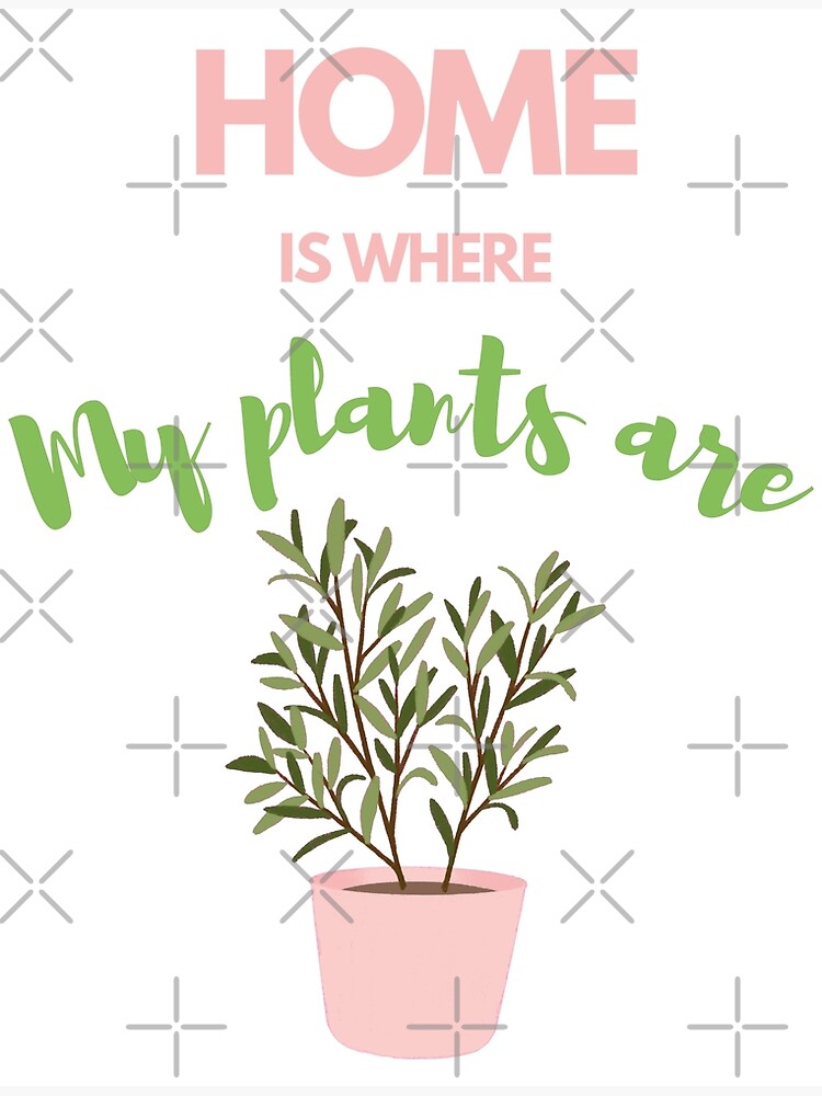 "Home is where my plants are Cute plant pot " Poster for Sale by
