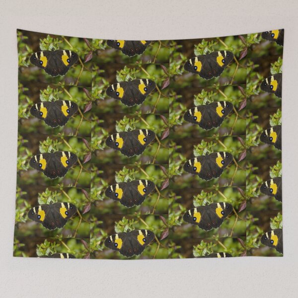 Item preview, Sword Grass Brown Butterfly designed and sold by pcbermagui.