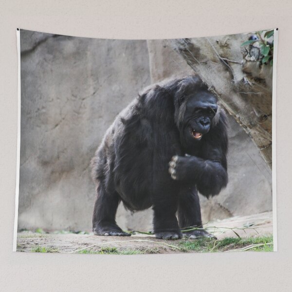 Item preview, HAHA! That's the Funniest Joke I Have Heard All Day!  designed and sold by heatherfriedman.