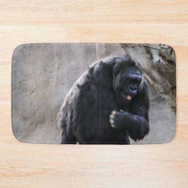 Item preview, HAHA! That's the Funniest Joke I Have Heard All Day!  designed and sold by heatherfriedman.
