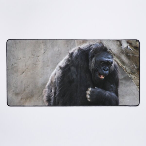 Item preview, HAHA! That's the Funniest Joke I Have Heard All Day!  designed and sold by heatherfriedman.