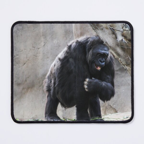 Item preview, HAHA! That's the Funniest Joke I Have Heard All Day! designed and sold by heatherfriedman.