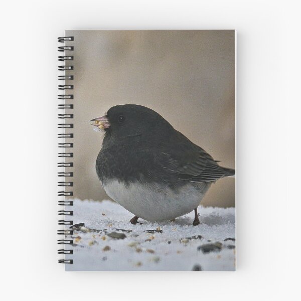 Item preview, Dark Eyed Junco designed and sold by ADM  Photography.