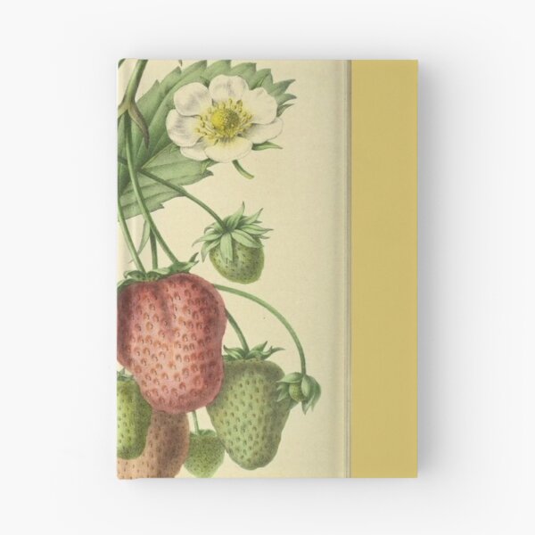 Item preview, Aesthetic coquette strawberry print designed and sold by Cronchyfrog11.