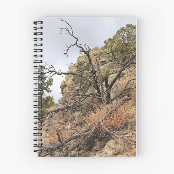 Item preview, Hiking trails 2 (Dale Ball) designed and sold by zumi.