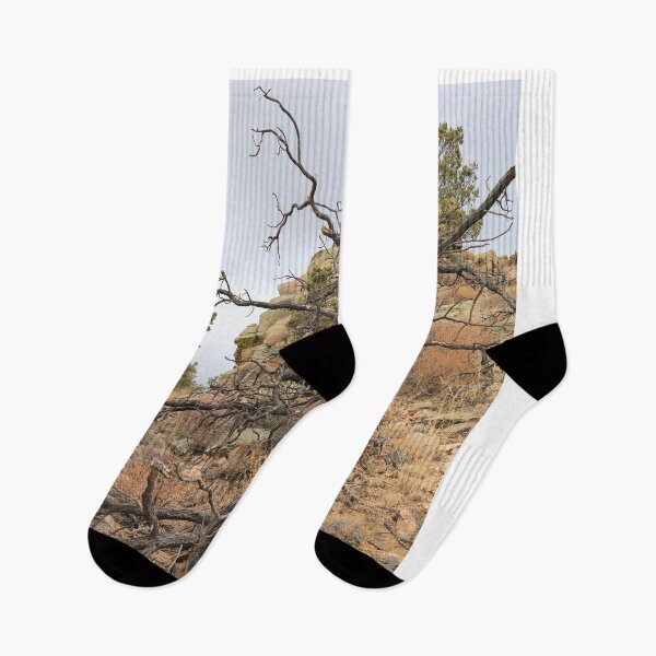 Item preview, Hiking trails 2 (Dale Ball) designed and sold by zumi.
