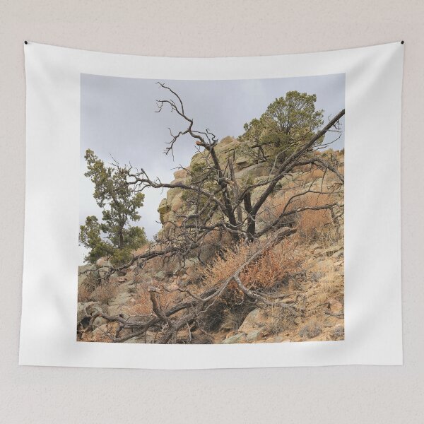 Item preview, Hiking trails 2 (Dale Ball) designed and sold by zumi.