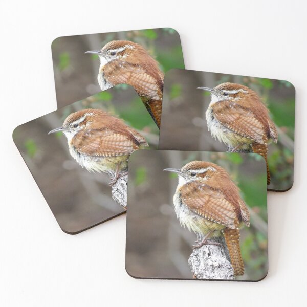 Item preview, Cute Carolina Wren Bird  designed and sold by KathyGail.