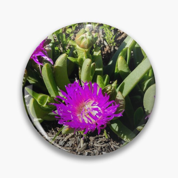 Item preview, Pigface designed and sold by indiafrankk.
