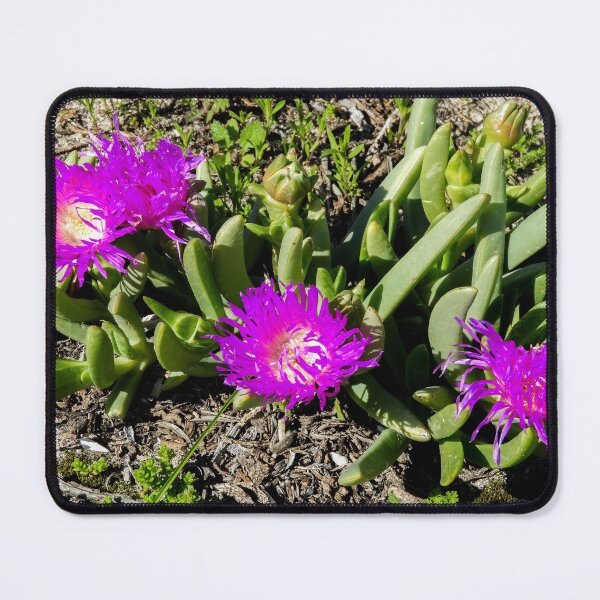 Item preview, Pigface designed and sold by indiafrankk.