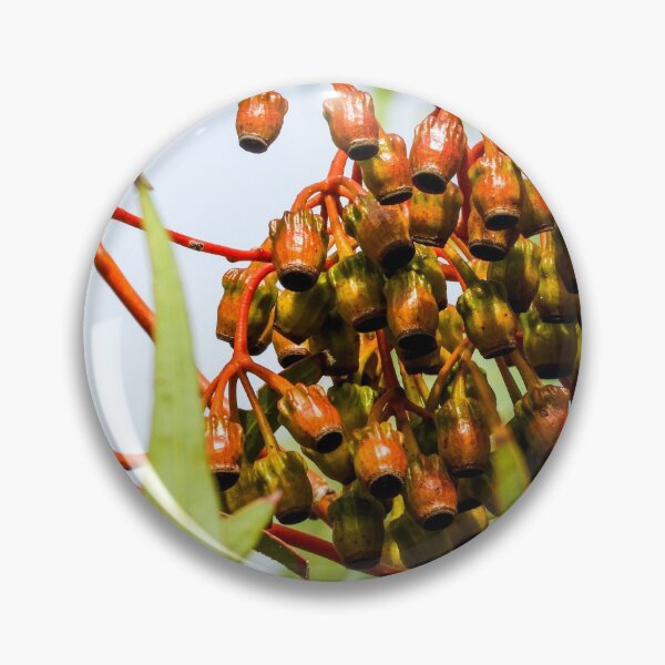 Item preview, Gum nuts designed and sold by indiafrankk.