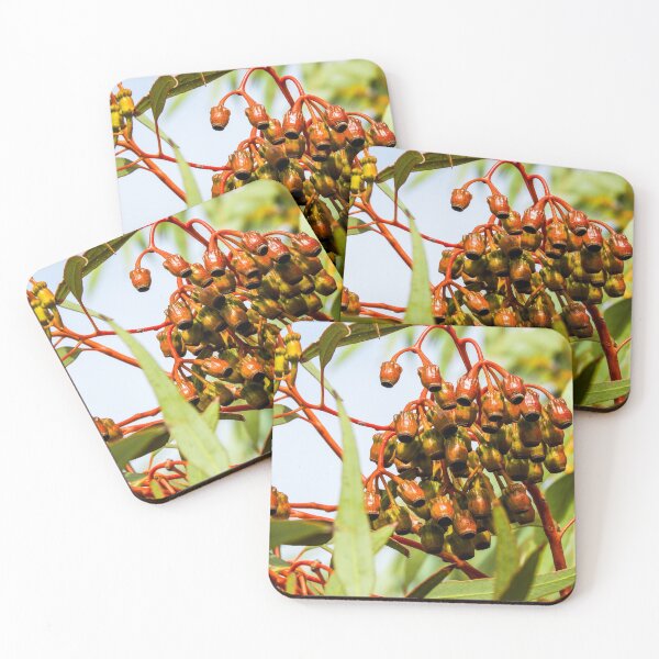 Item preview, Gum nuts designed and sold by indiafrankk.