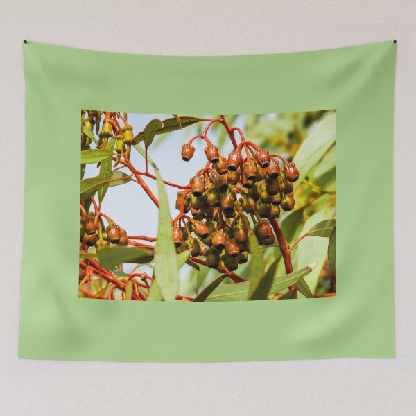 Item preview, Gum nuts designed and sold by indiafrankk.