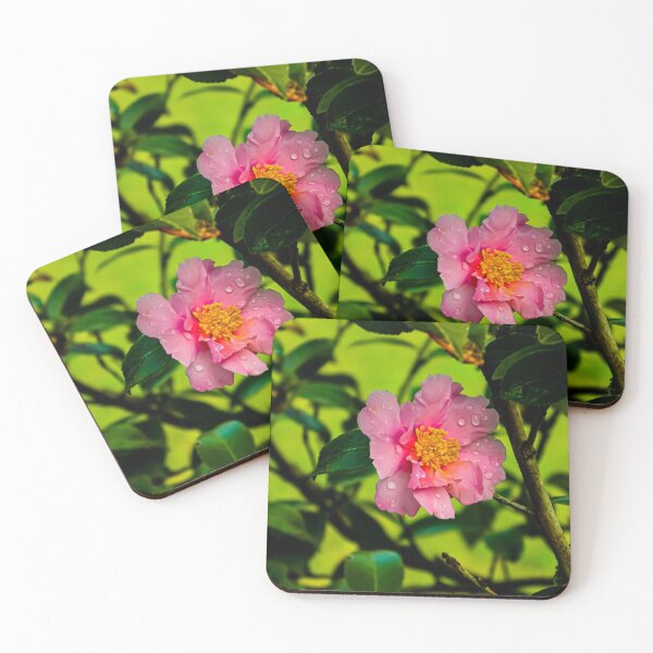 Item preview, Pink on Green designed and sold by Dominique Harness.