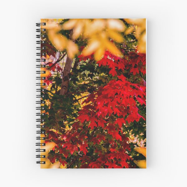 Item preview, Autumn leaves designed and sold by indiafrankk.
