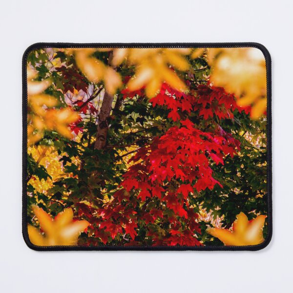Item preview, Autumn leaves designed and sold by indiafrankk.