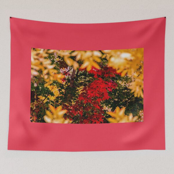 Item preview, Autumn leaves designed and sold by indiafrankk.