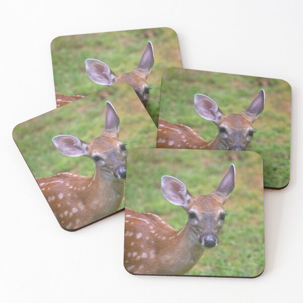 Item preview, Fawn Deer with Long Eyelashes designed and sold by SafariByMarisa.