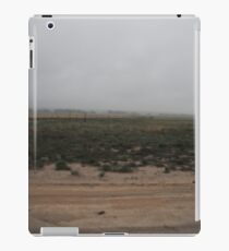 Desolate iPad Case/Skin