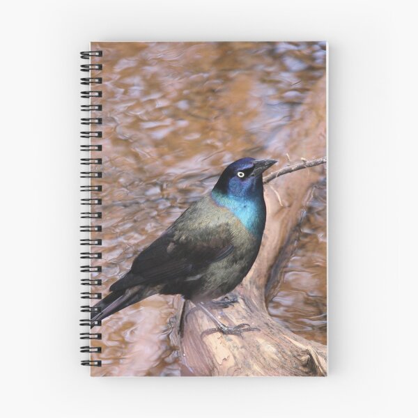 Item preview, Grackle designed and sold by PhyllisG-Art.