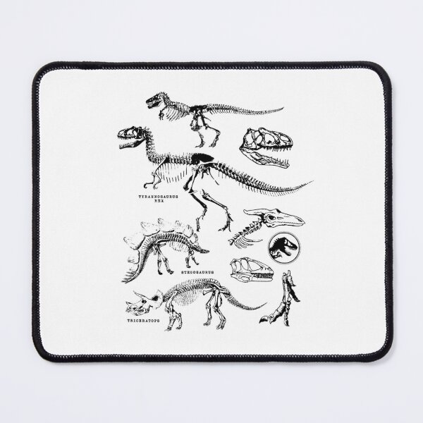 Item preview, Dinosaur Park Dinosaur Fossil Chart designed and sold by TyishaWilder.
