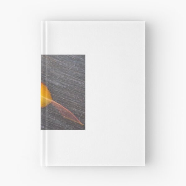 Item preview, Leaf designed and sold by High Tide Photography.