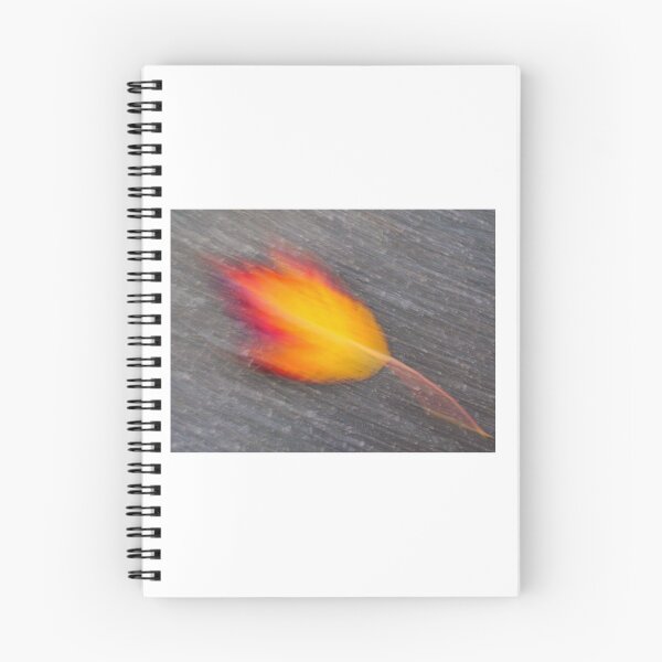 Item preview, Leaf designed and sold by High Tide Photography.