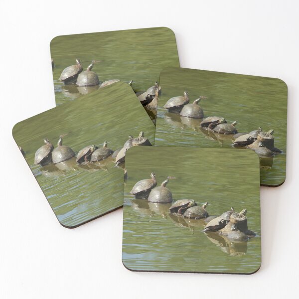 Item preview, Seven Turtles on a Log designed and sold by PaulKPhoto.