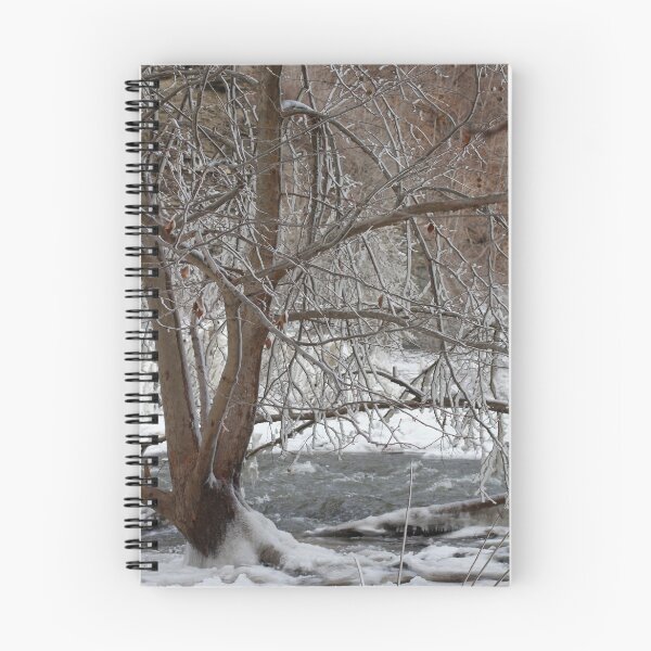Item preview, Frozen Tree (1) designed and sold by MargDeGaetano.