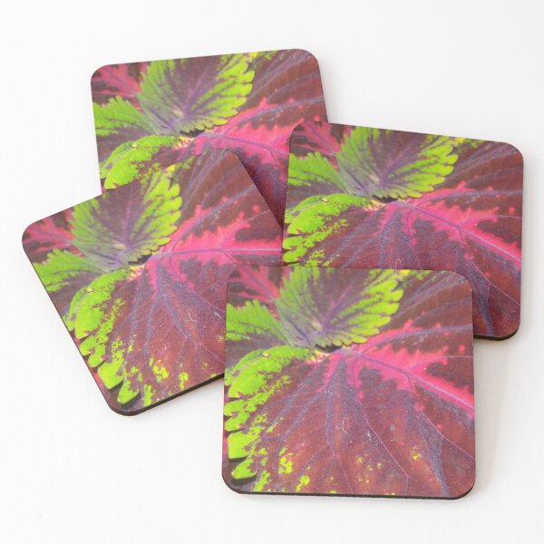 Item preview, Coleus Flare designed and sold by MangoFaceDesign.