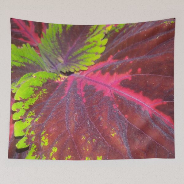 Item preview, Coleus Flare designed and sold by MangoFaceDesign.