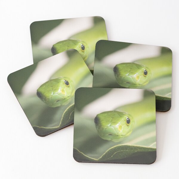 Item preview, Cute Snake designed and sold by Jacquelie.