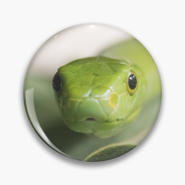 Item preview, Cute Snake designed and sold by Jacquelie.