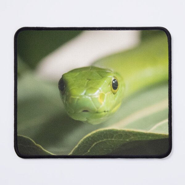 Item preview, Cute Snake designed and sold by Jacquelie.