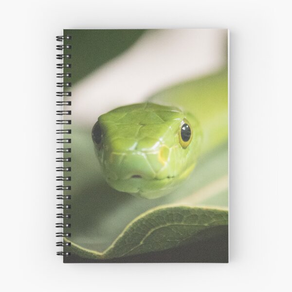 Item preview, Cute Snake designed and sold by Jacquelie.