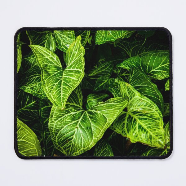 Item preview, Leaves designed and sold by Dominique Harness.