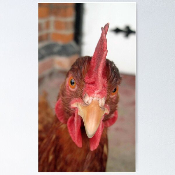 Artikelvorschau, Are you still looking at me....! entworfen und verkauft von Yorkspalette.