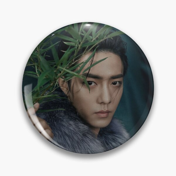Item preview, Xiao Zhan  designed and sold by Aiyizhan.