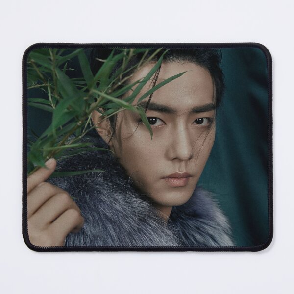 Item preview, Xiao Zhan  designed and sold by Aiyizhan.