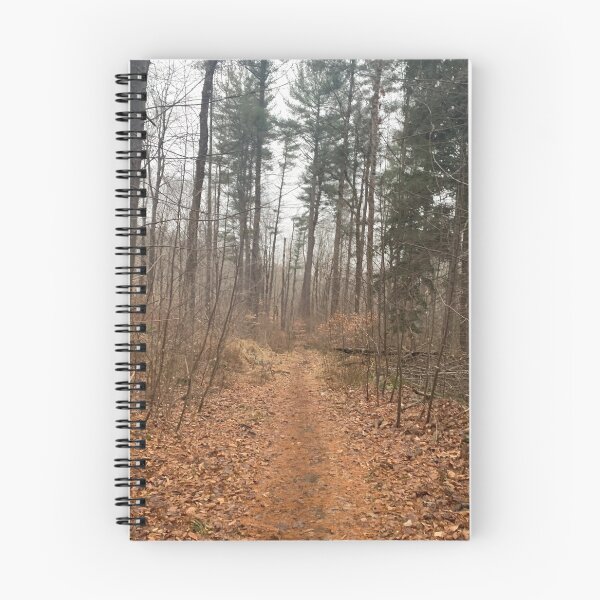 Item preview, Forest trail designed and sold by CarolineATaylor.