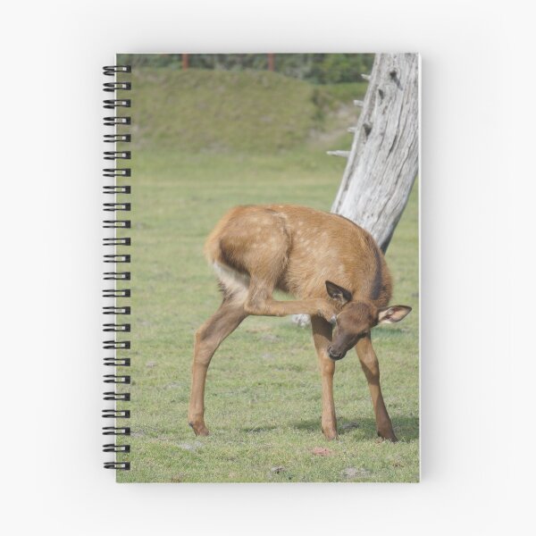 Item preview, Bambi designed and sold by Hyladae's Art.
