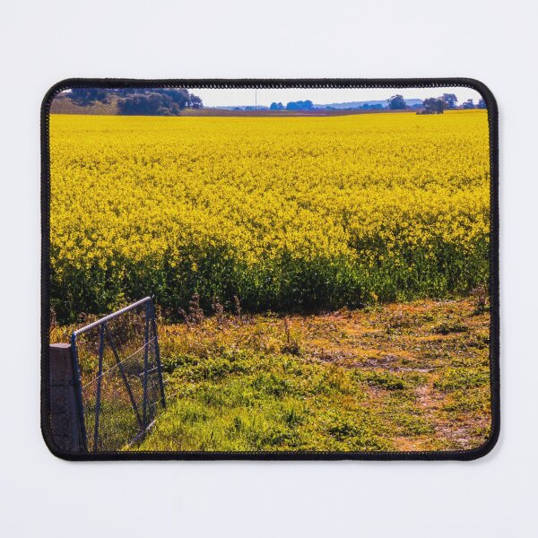 Item preview, Canola crop, Yorke Peninsula designed and sold by indiafrankk.