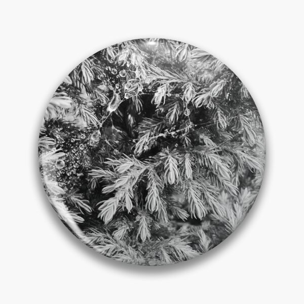 Item preview, Fir tree covered with drops of rain designed and sold by helenkaiy.